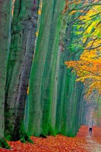 Cycling sheltered by the Giants by Vincent Brassinne